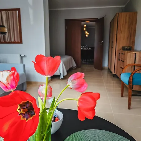 Ava Relax * Świnoujście